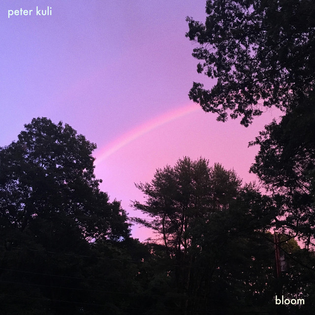 Bloom cover art