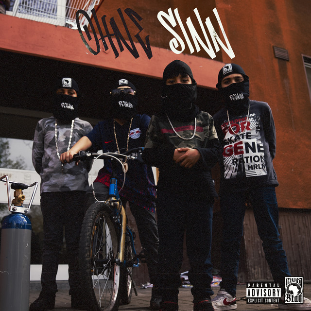 Ohne Sinn cover art