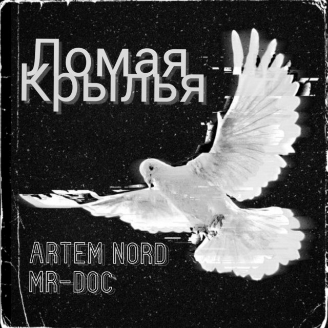 Cover art: Ломая крылья — ARTEM NORD