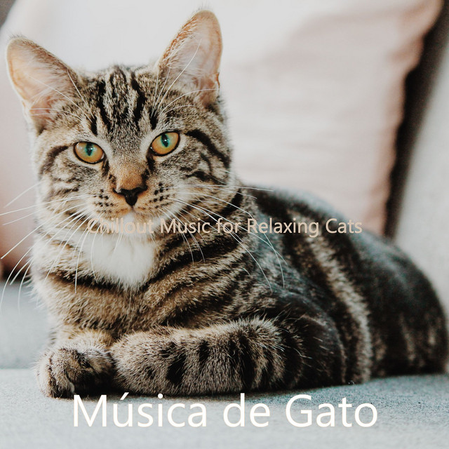 Chillout Music for Relaxing Cats cover art