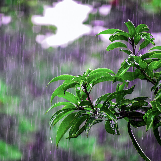 Beautiful Rain for Sleep cover art