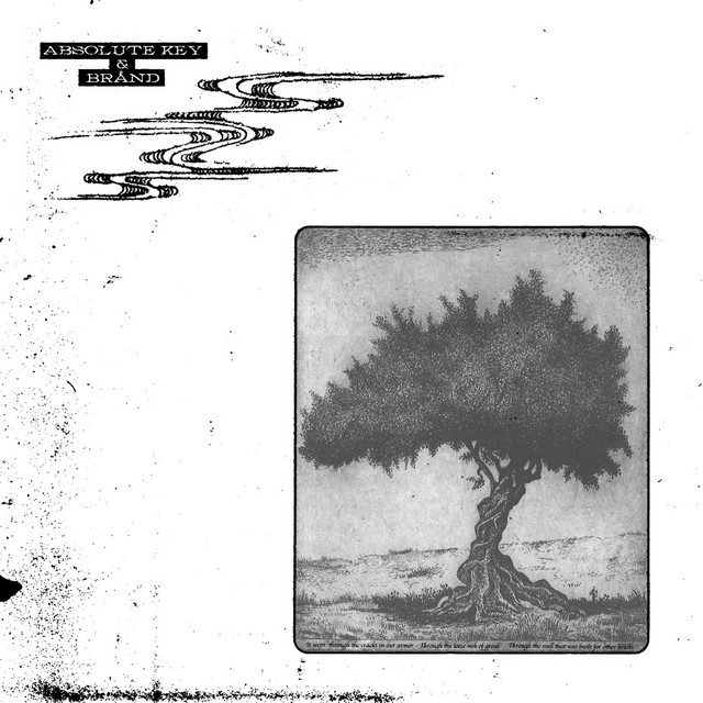 Absolute Key & Brånd cover art