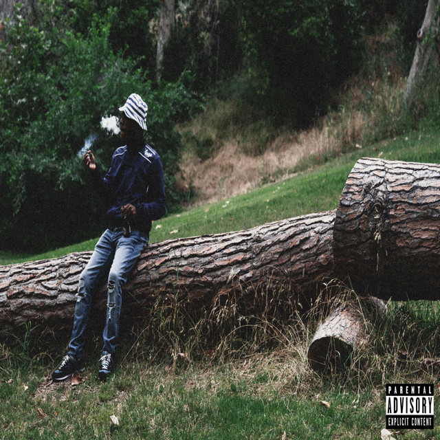 Stay Down cover art