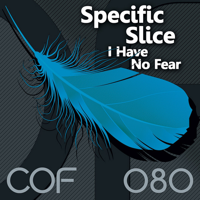 I Have No Fear cover art