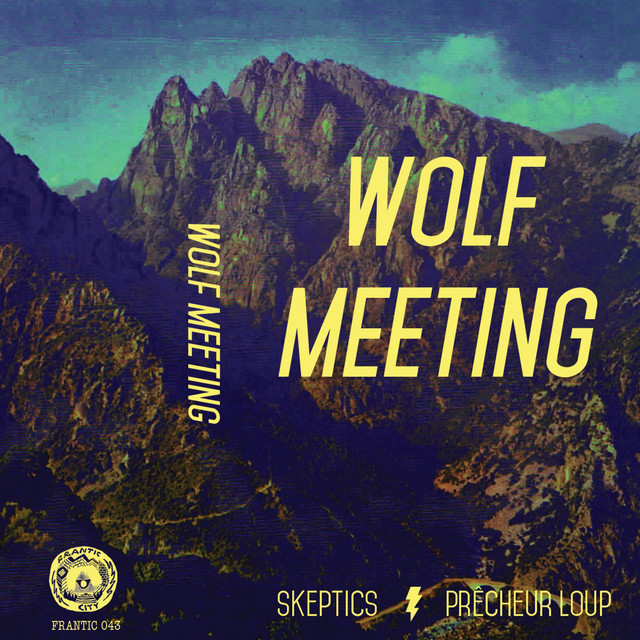 Wolf Meeting cover art
