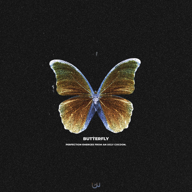 Butterfly cover art