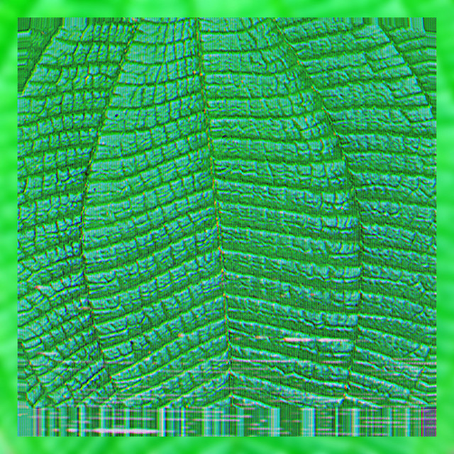 Growth album image