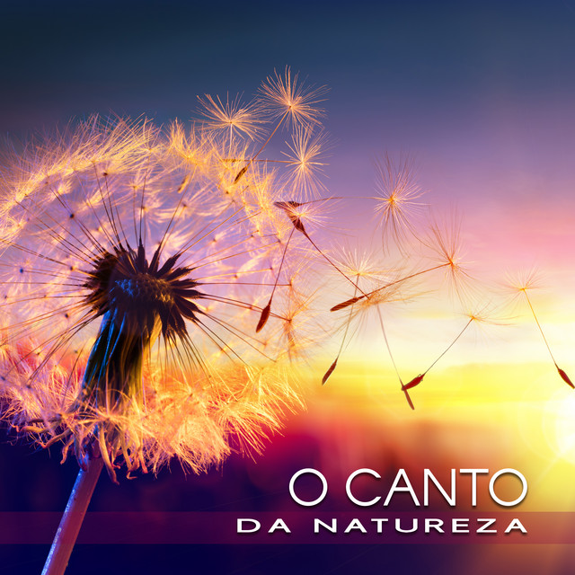 O Canto da Natureza – Lindas Músicas com Sons da Floresta, Canto de Pássaros, Barulho de Chuva e Animais Selvagens Para Relaxar, Acalmar, Meditar e Dormir Profundamente cover art
