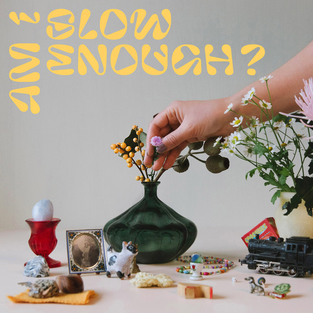 Am I Slow Enough? cover art