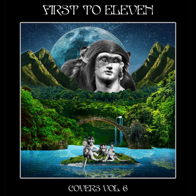 Covers, Vol. 6 cover art