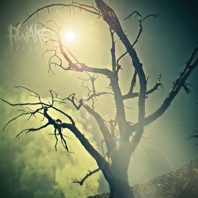 Rest cover art