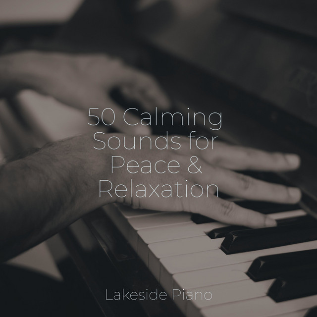 50 Calming Sounds for Peace & Relaxation - Album by SD | Spotify