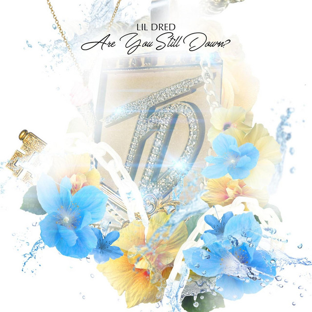 Are You Still Down? cover art