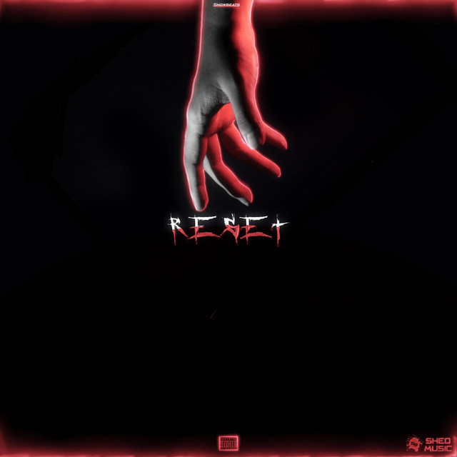 RESET cover art