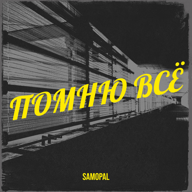 Обкладинка: Помню всё — Samopal