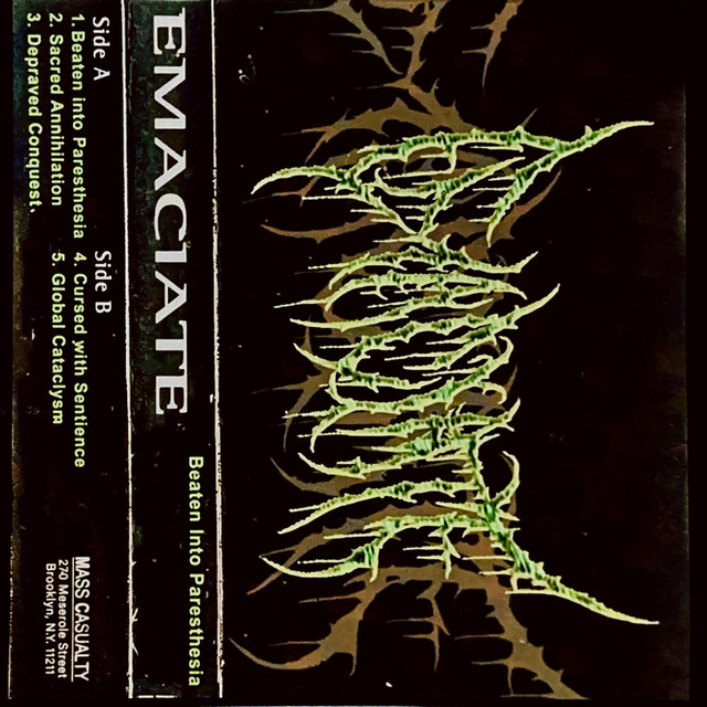 Beaten Into Paresthesia cover art