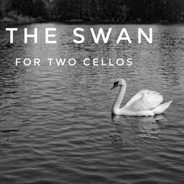 The swan
