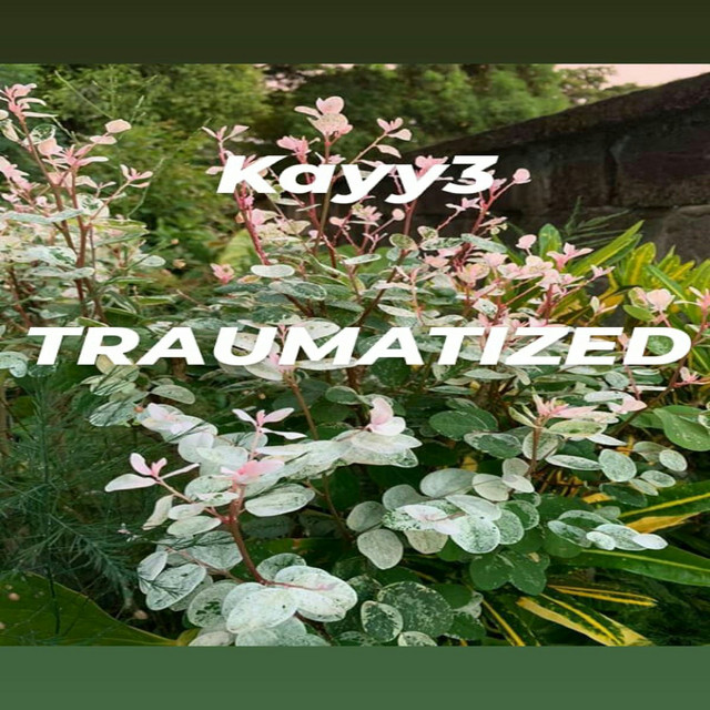Traumatized - Single by Kayy3 | Spotify