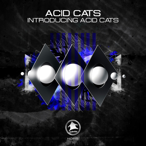 Introducing Acid Cats cover art