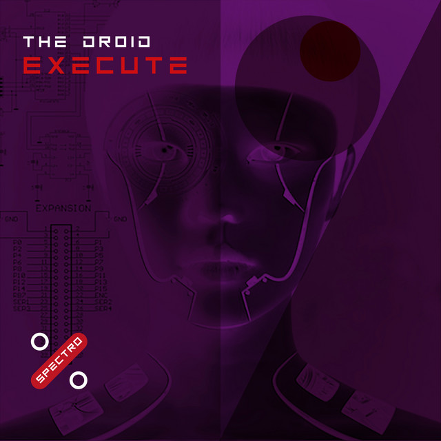 Execute cover art
