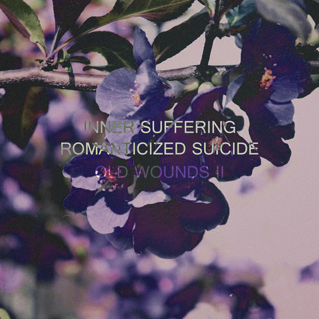 Обкладинка Inner Suffering — Old Wounds II: Romanticized Suicide (2022 version of Romanticized Suicide)