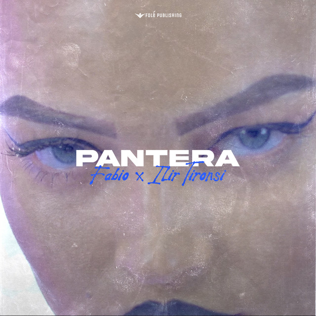 Pantera cover art
