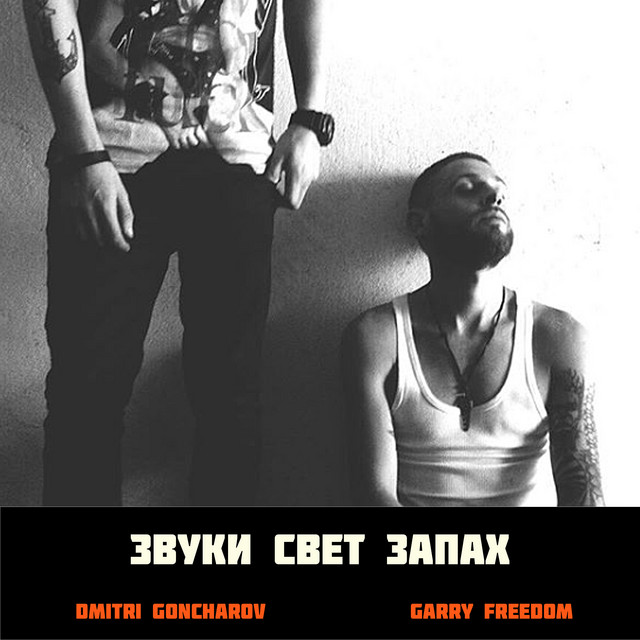 Обкладинка: Звуки свет запах — Garry Freedom