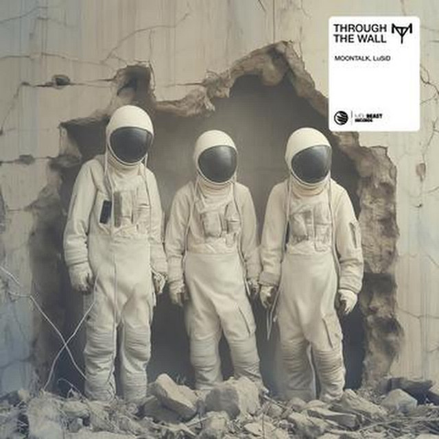 Through The Wall - Extended Mix album art