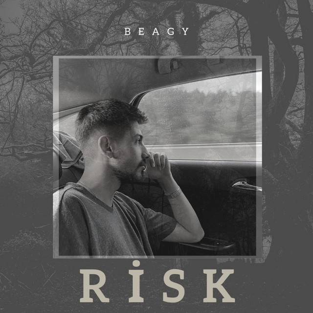 risk cover art