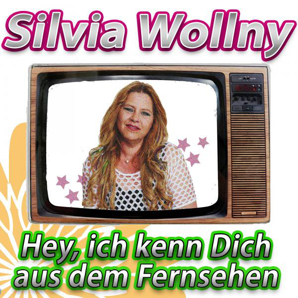 Hey, ich kenn Dich aus dem Fernsehen cover