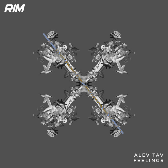 Обкладинка Alev Tav — Feelings