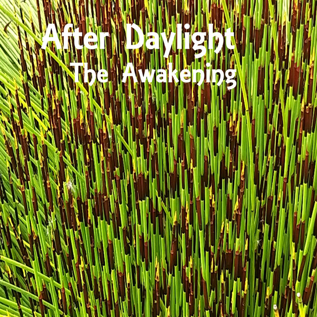 The Awakening (single)