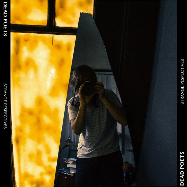 Strange Perspectives cover
