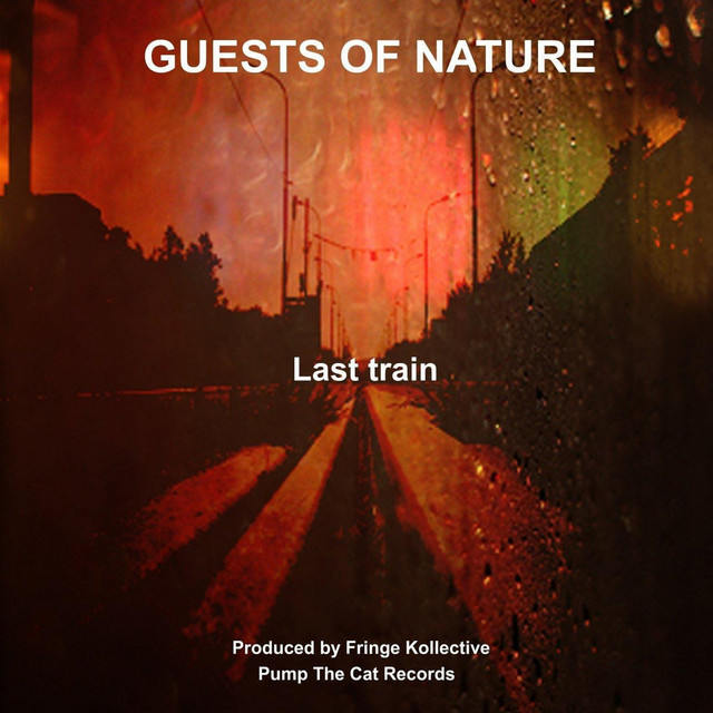 Last Train - Fringe Kollective Remix cover art