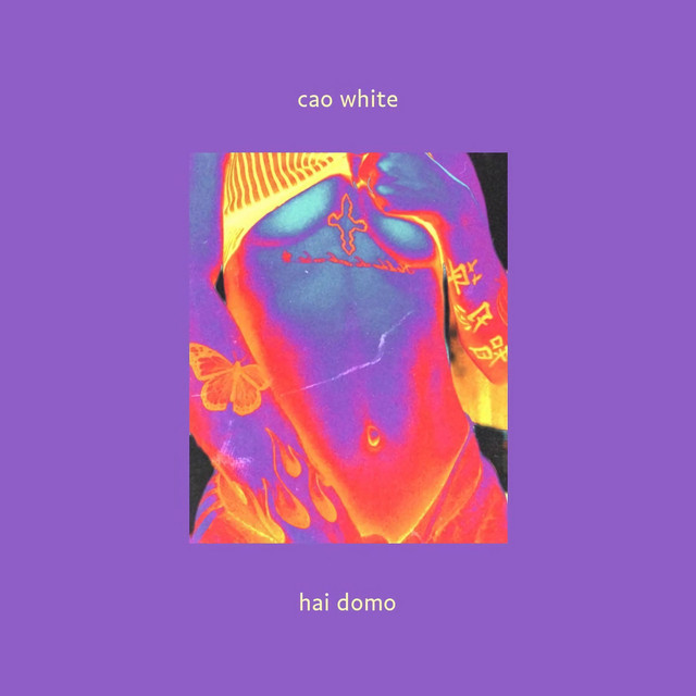 Hai Domo cover art