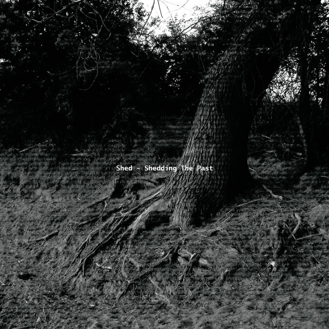 Shedding the Past cover art