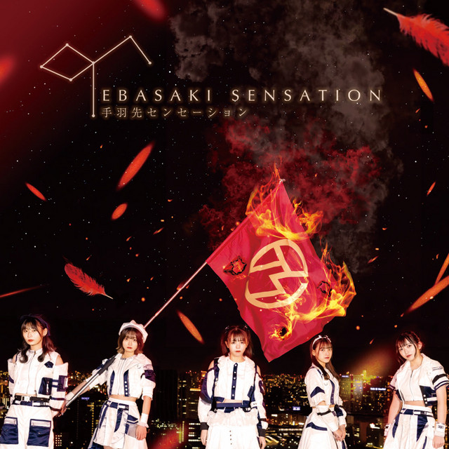 手羽先センセーション cover