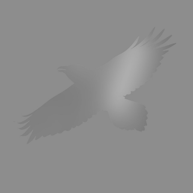 Stendur æva (with Steindór Andersen, Hilmar Örn Hilmarsson & María Huld Markan Sigfúsdóttir) (single)