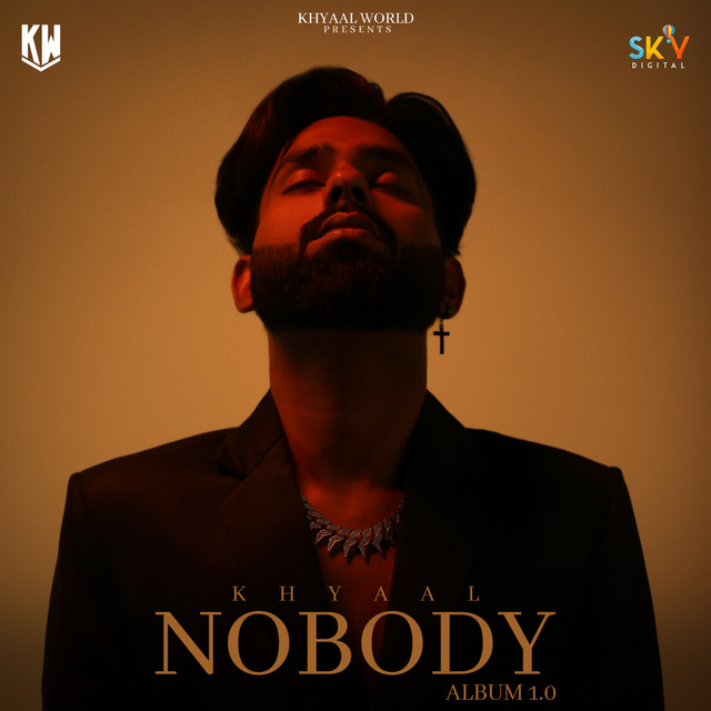 Nobody cover art