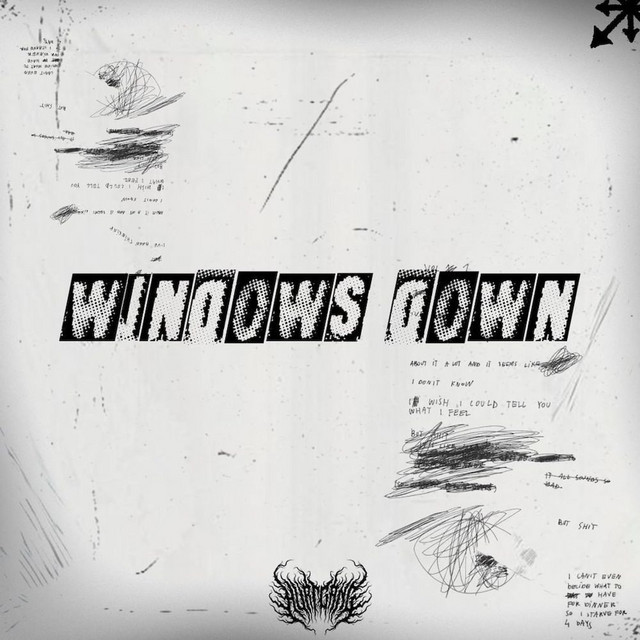 WINDOWS DOWN! cover art