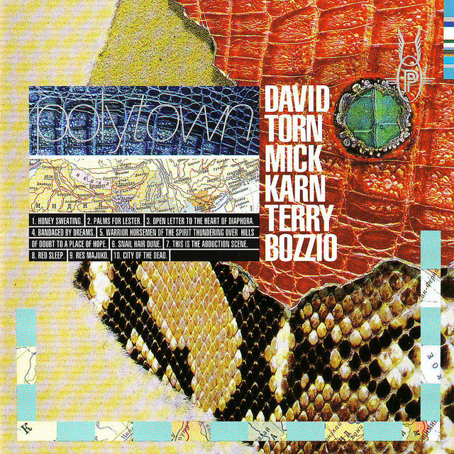 Polytown cover art