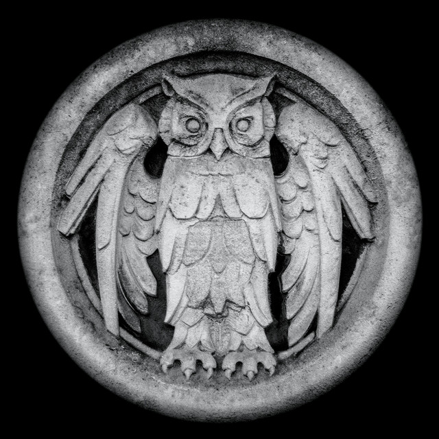 Abnocto cover art