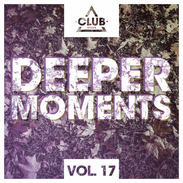 Deeper Moments, Vol. 17 cover art