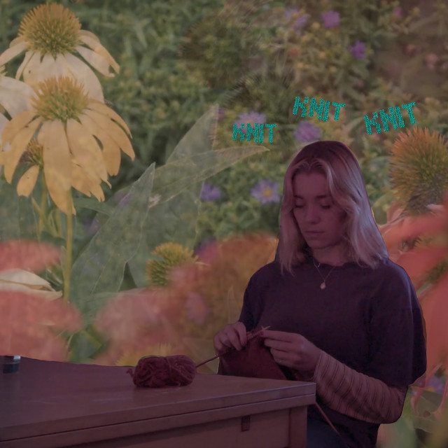 Knit cover art