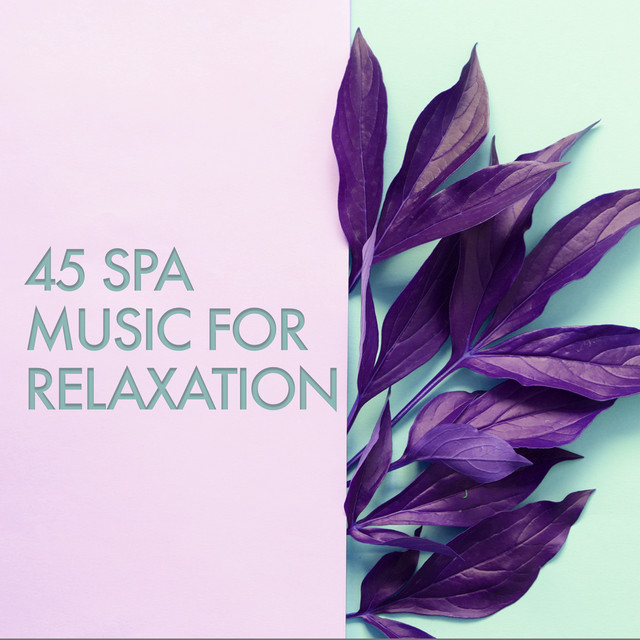 45 Spa Music for Relaxation - Album by Relaxing Spa Music | Spotify
