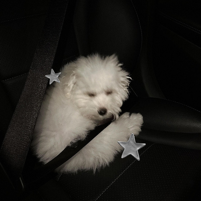 babybear.