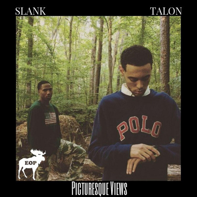Picturesque Views cover art