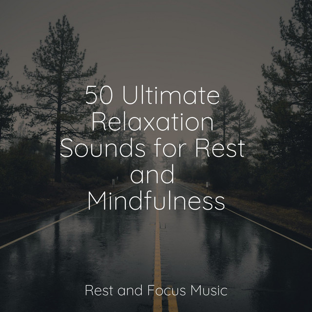 50 Ultimate Relaxation Sounds for Rest and Mindfulness - Album by Music ...