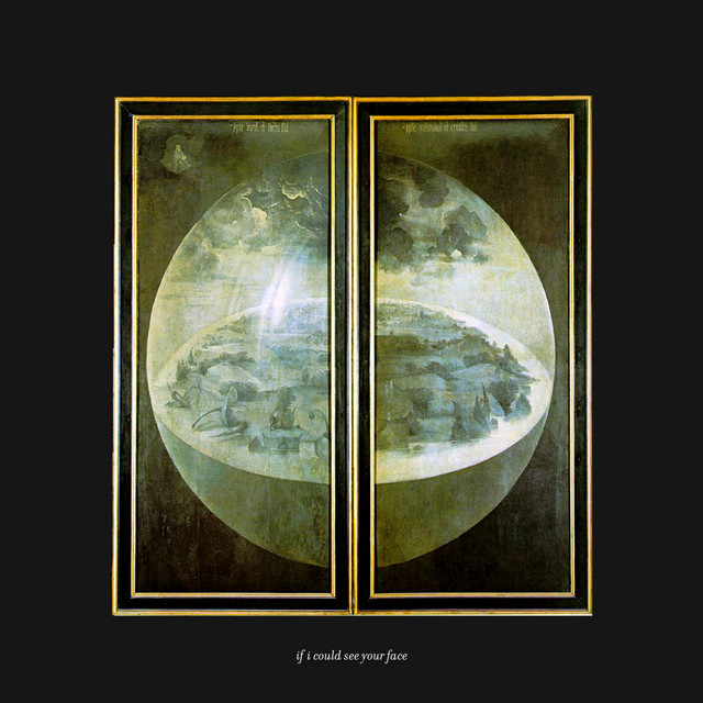 if i could see your face cover art