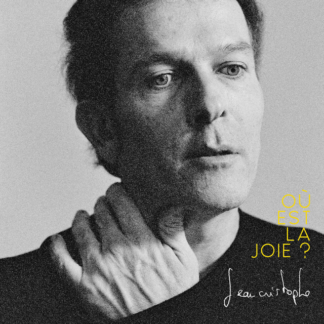 Où est la joie ? cover art